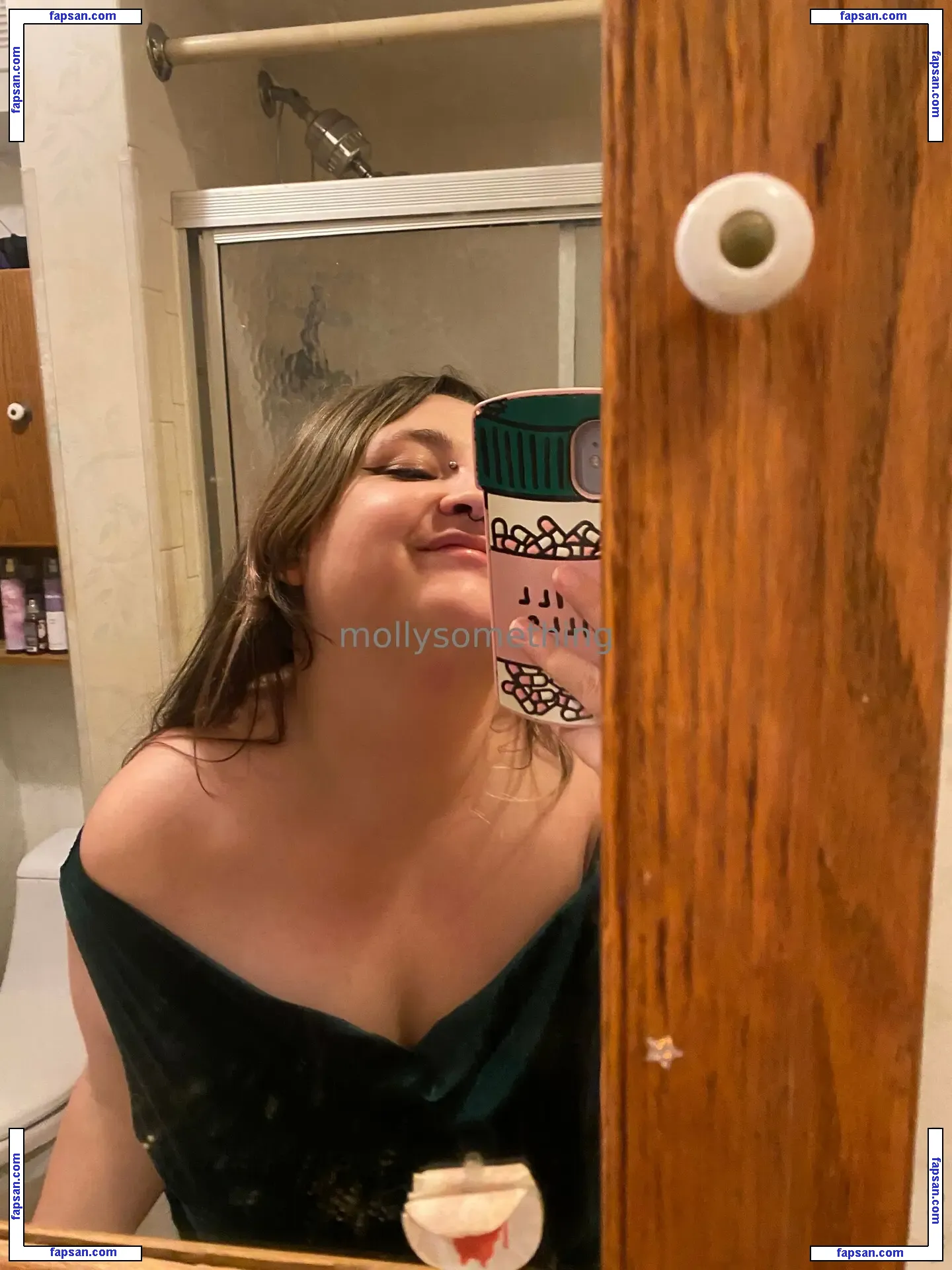 mollysomething nude photo #0046 from OnlyFans