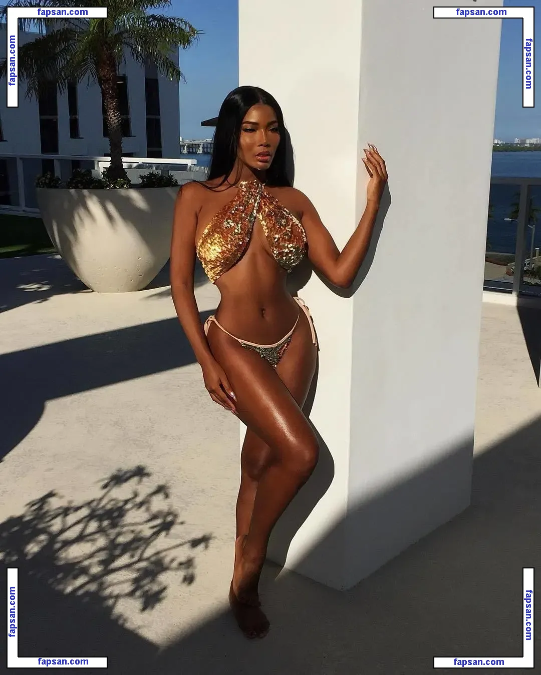 Monifa Jansen nude photo #0092 from OnlyFans