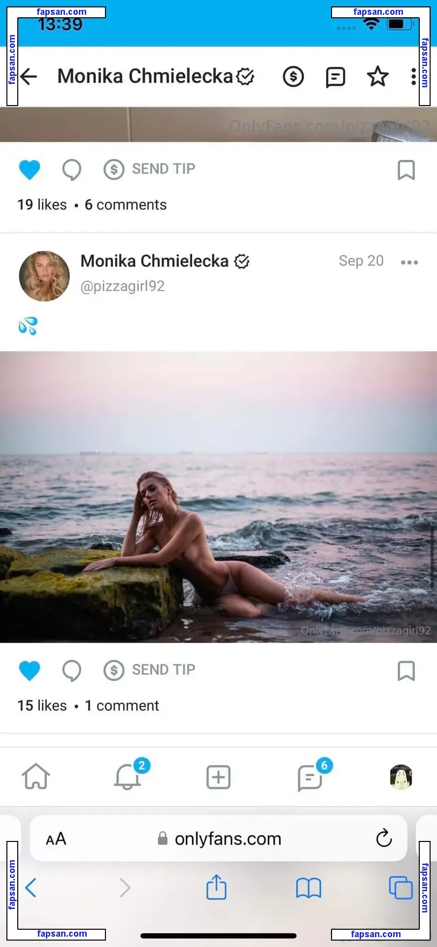 Monika Chmielecka голая фото #0017 с Онлифанс