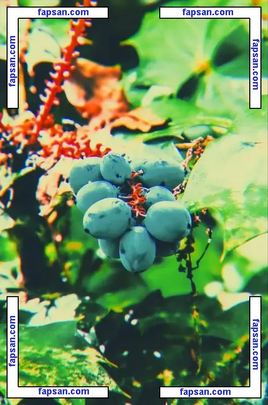 Mrs.Dainty nude photo #0008 from OnlyFans