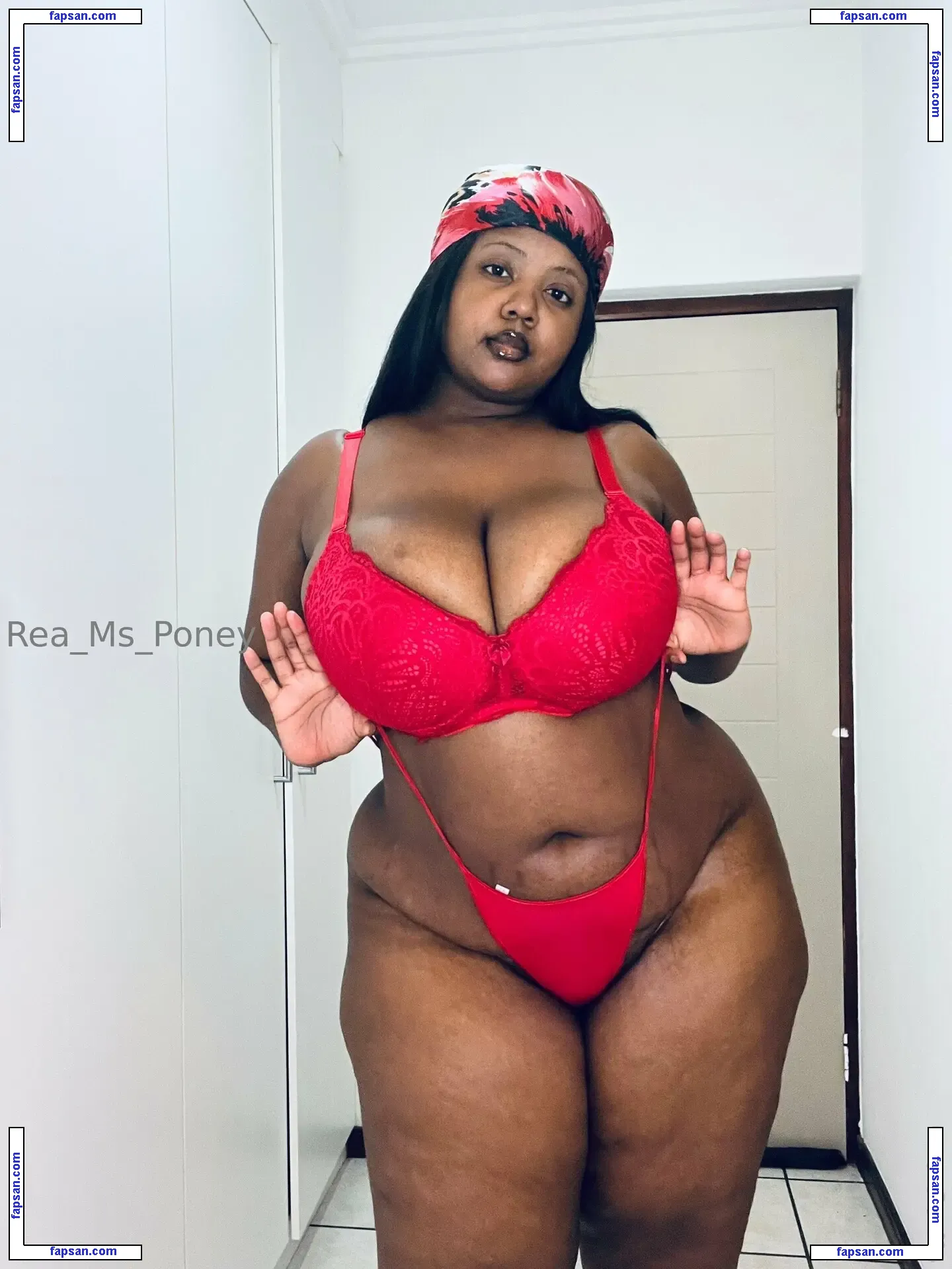 ms_poney nude photo #0009 from OnlyFans