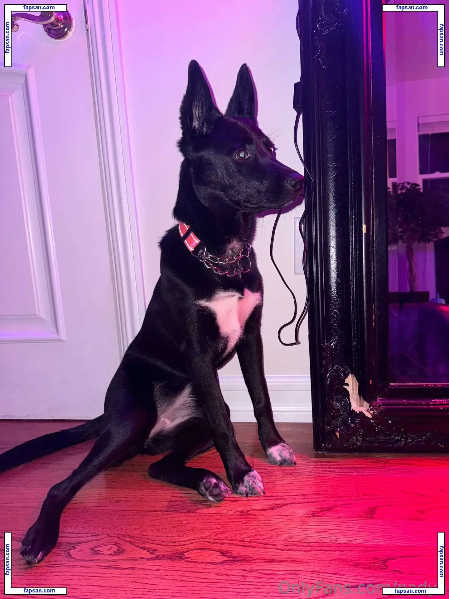 nadya nude photo #0044 from OnlyFans