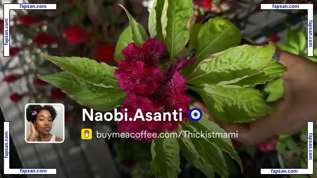 Naobi.Asanti nude photo #0005 from OnlyFans