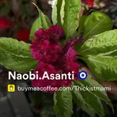 Naobi.Asanti nude #0005