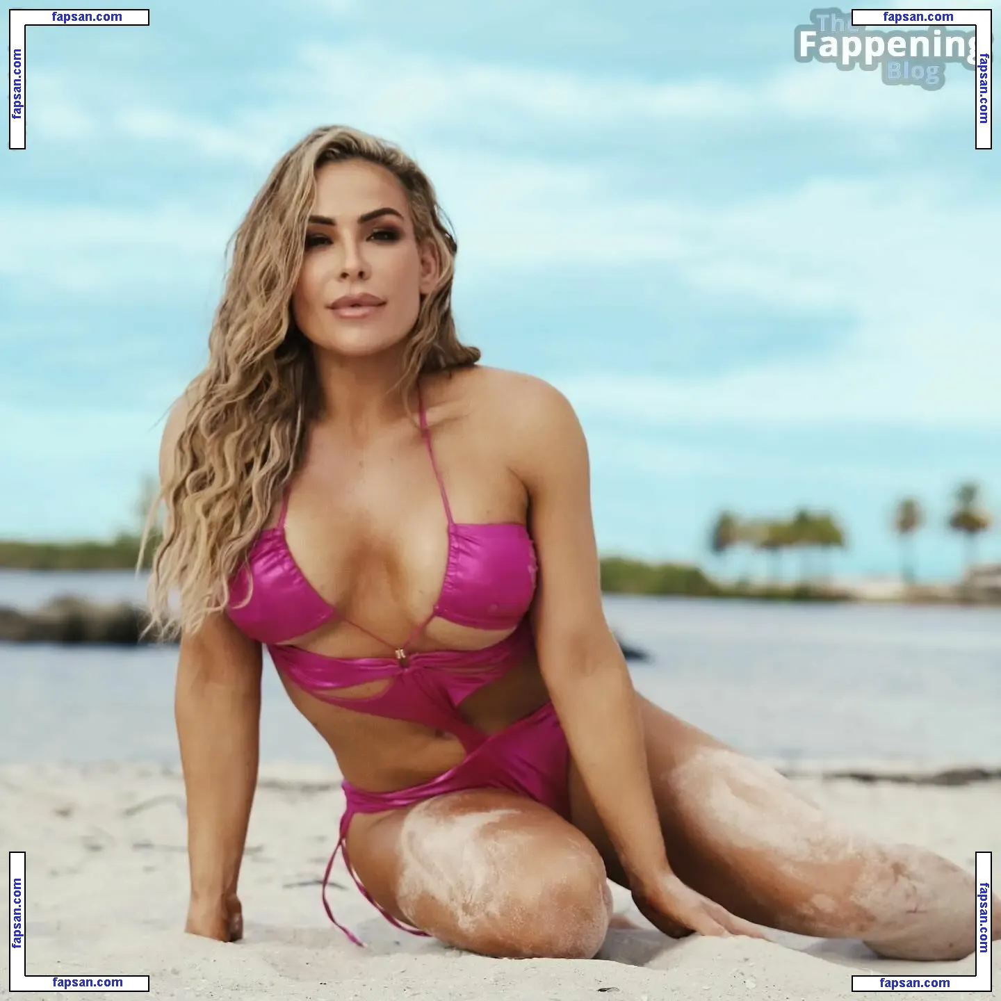 Natalya Neidhart nude photo #0374 from OnlyFans