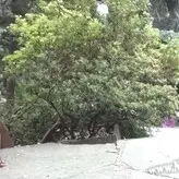 Naughty Lada голая #0215