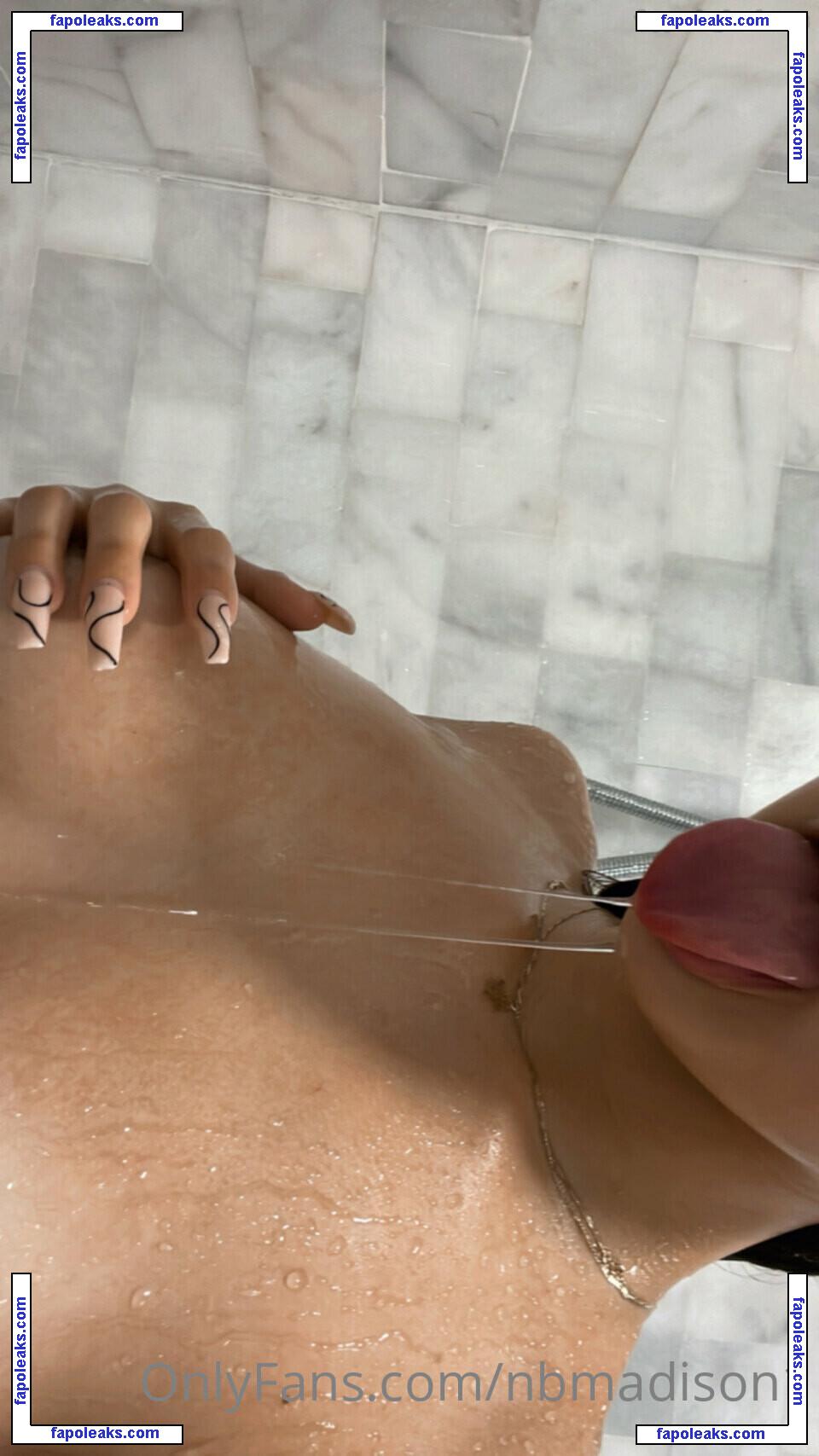 nbmadison1 / nbmadison nude photo #0013 from OnlyFans
