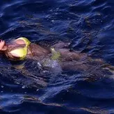 Nicole Scherzinger голая #5933