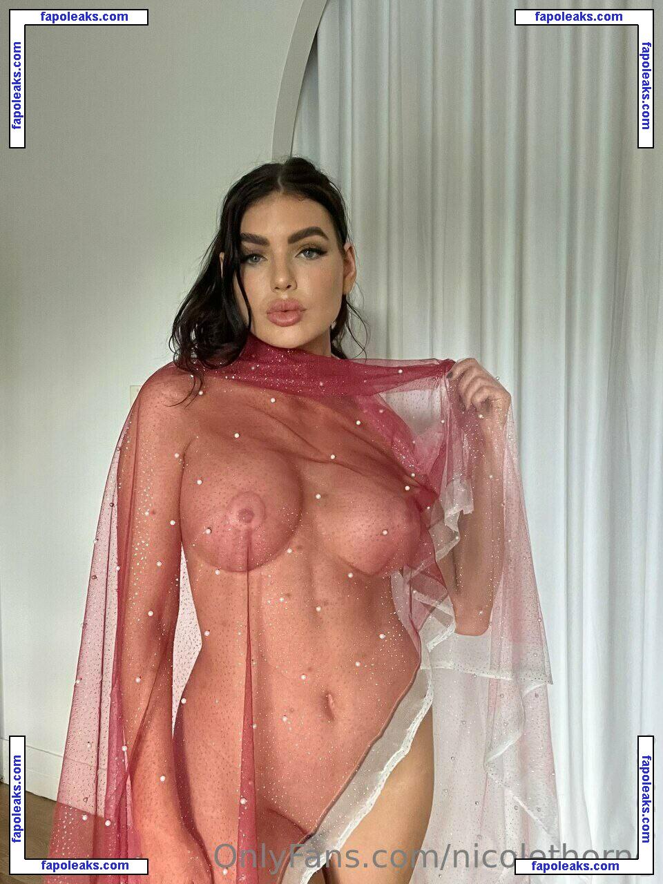 Nicole Thorne / nicolethorne nude photo #0527 from OnlyFans
