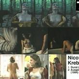 Nicolette Krebitz nude #0058