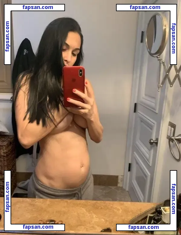 Nikki Bella nude photo #1050 from OnlyFans