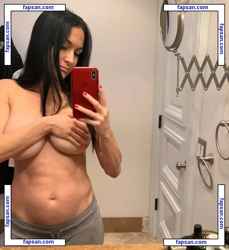 Nikki Bella nude photo #1051 from OnlyFans