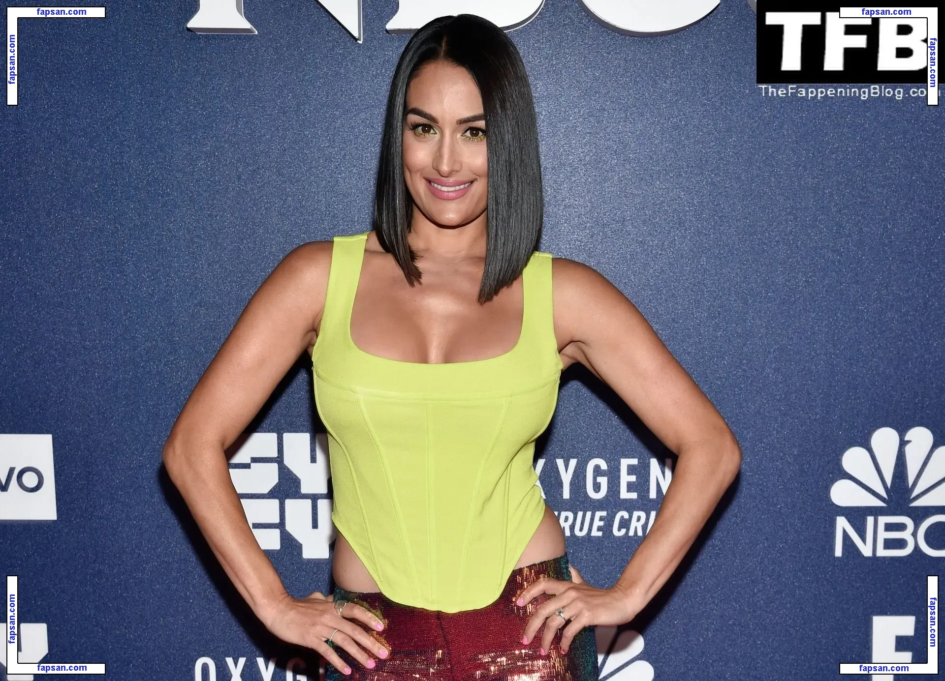 Nikki Bella / nikkigarcia голая фото #1161 с Онлифанс