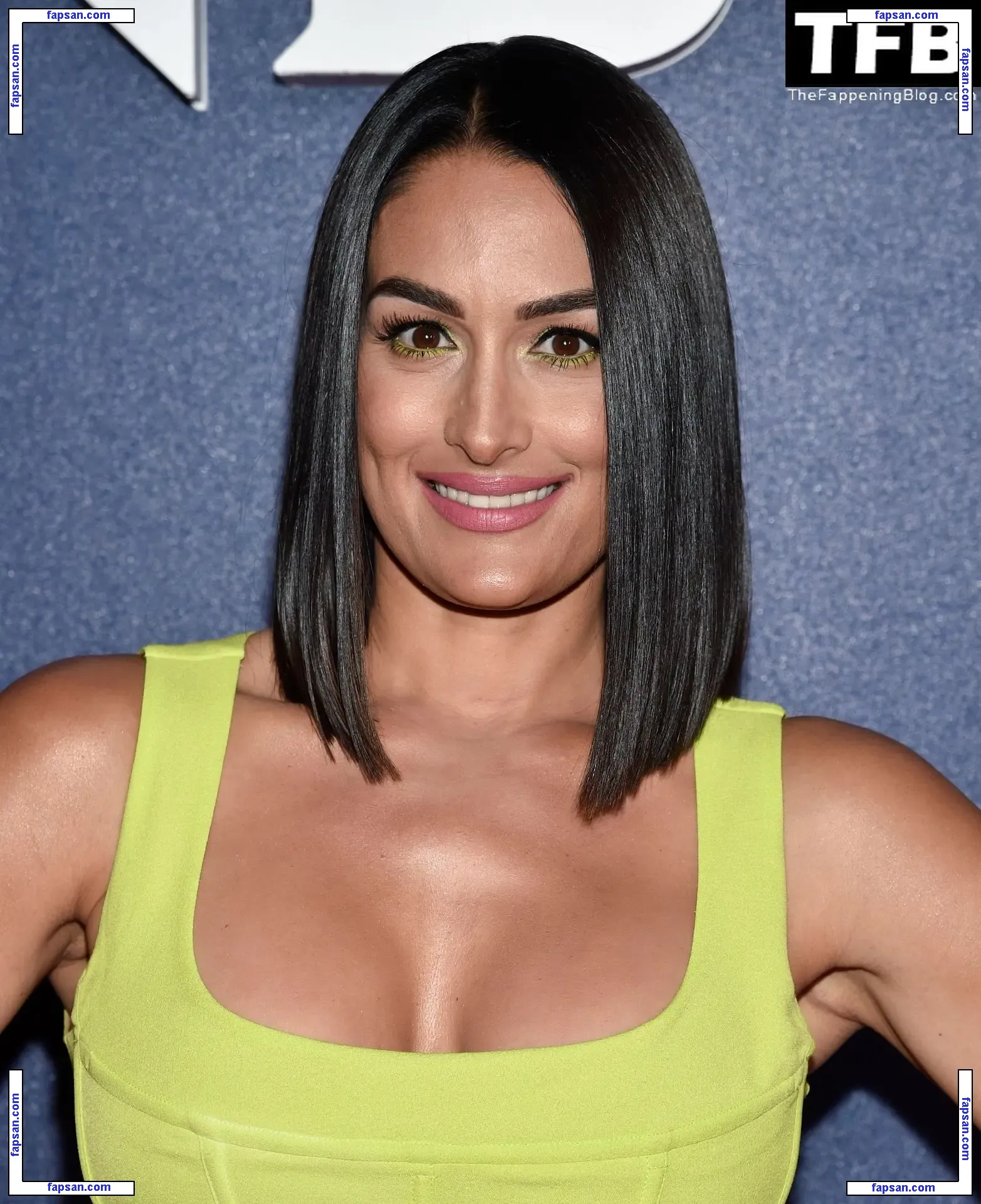 Nikki Bella nude photo #1164 from OnlyFans