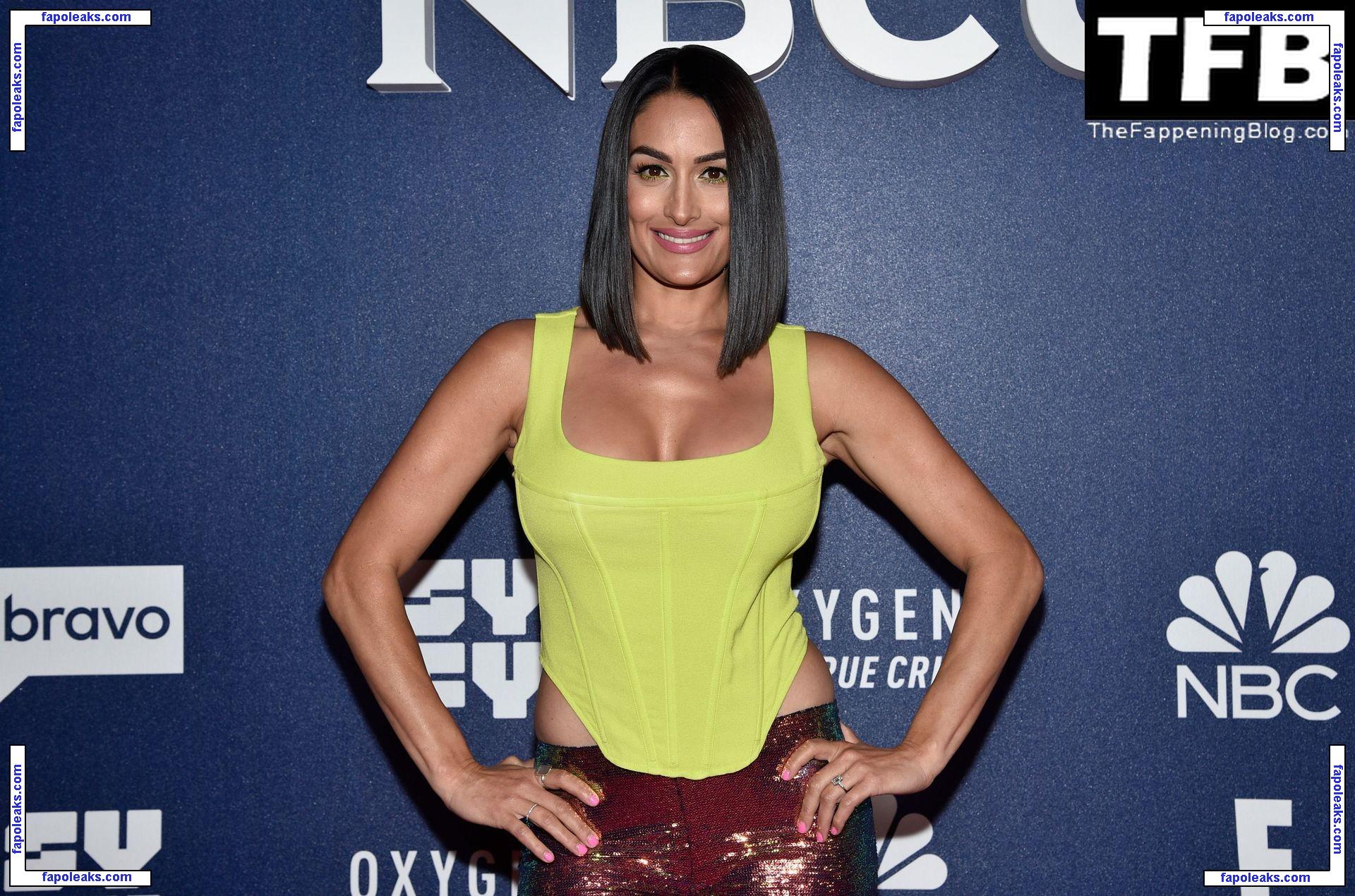 Nikki Bella / nikkigarcia голая фото #1165 с Онлифанс