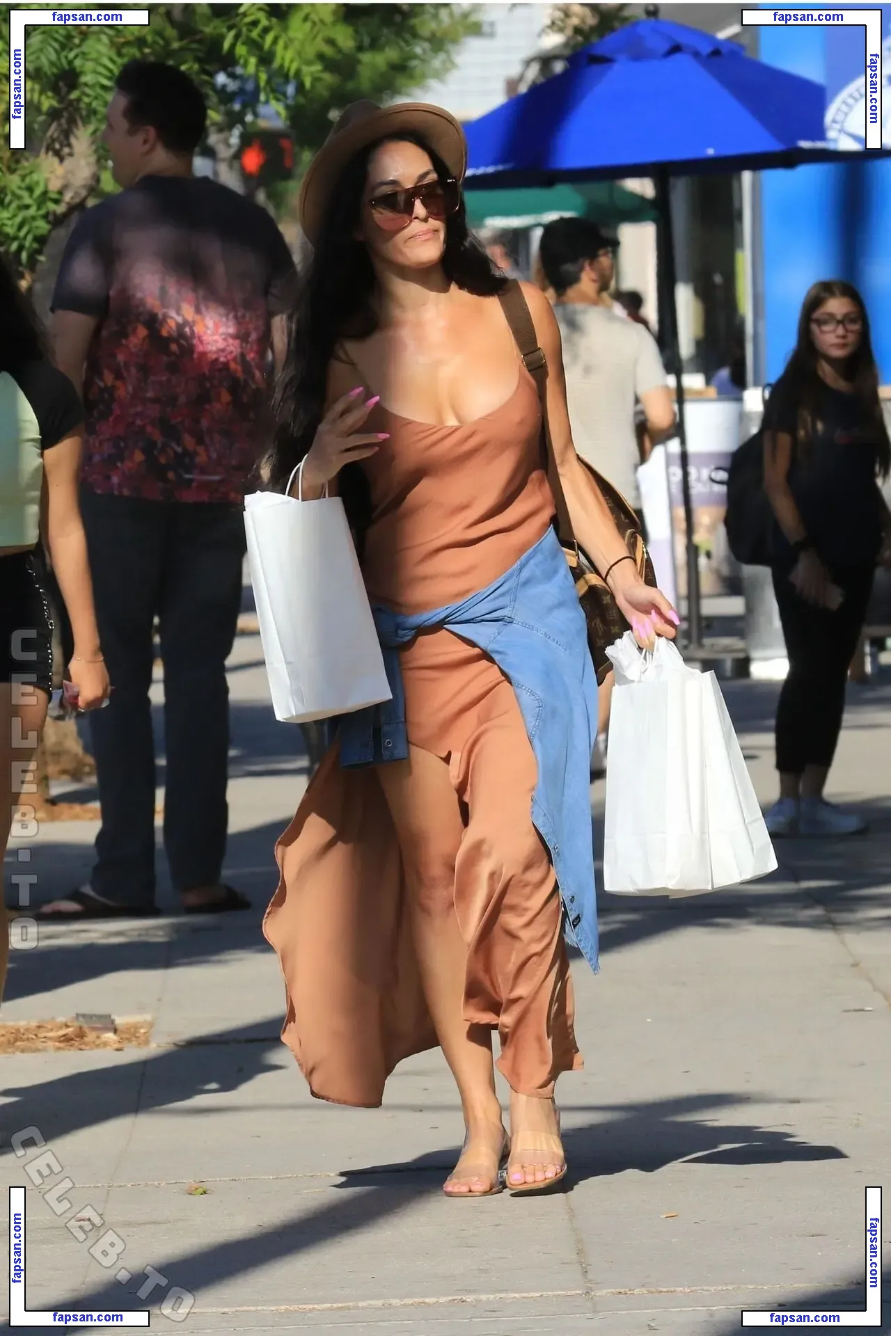 Nikki Bella nude photo #1199 from OnlyFans