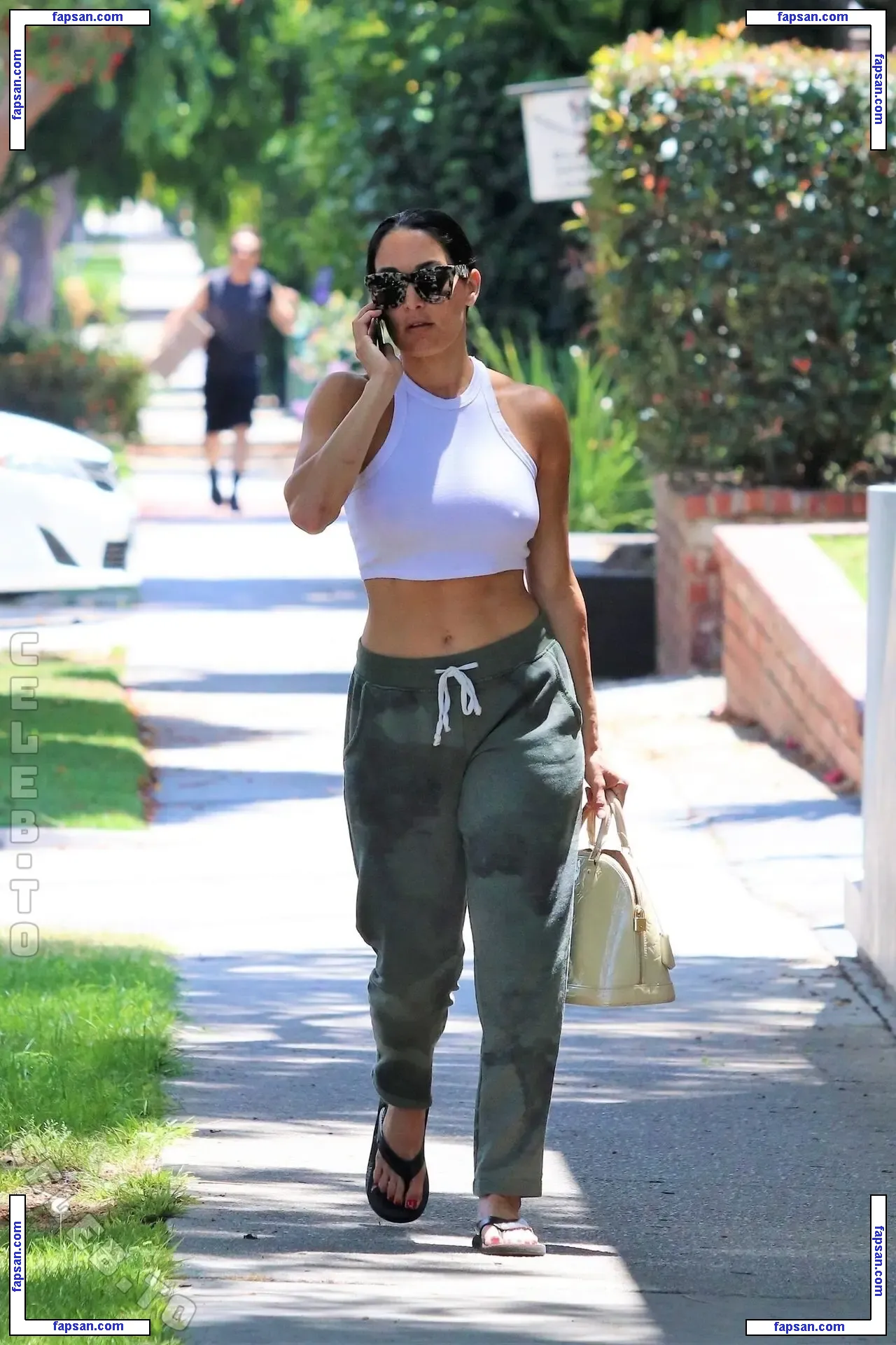 Nikki Bella nude photo #1214 from OnlyFans