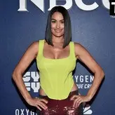 Nikki Bella голая #1165