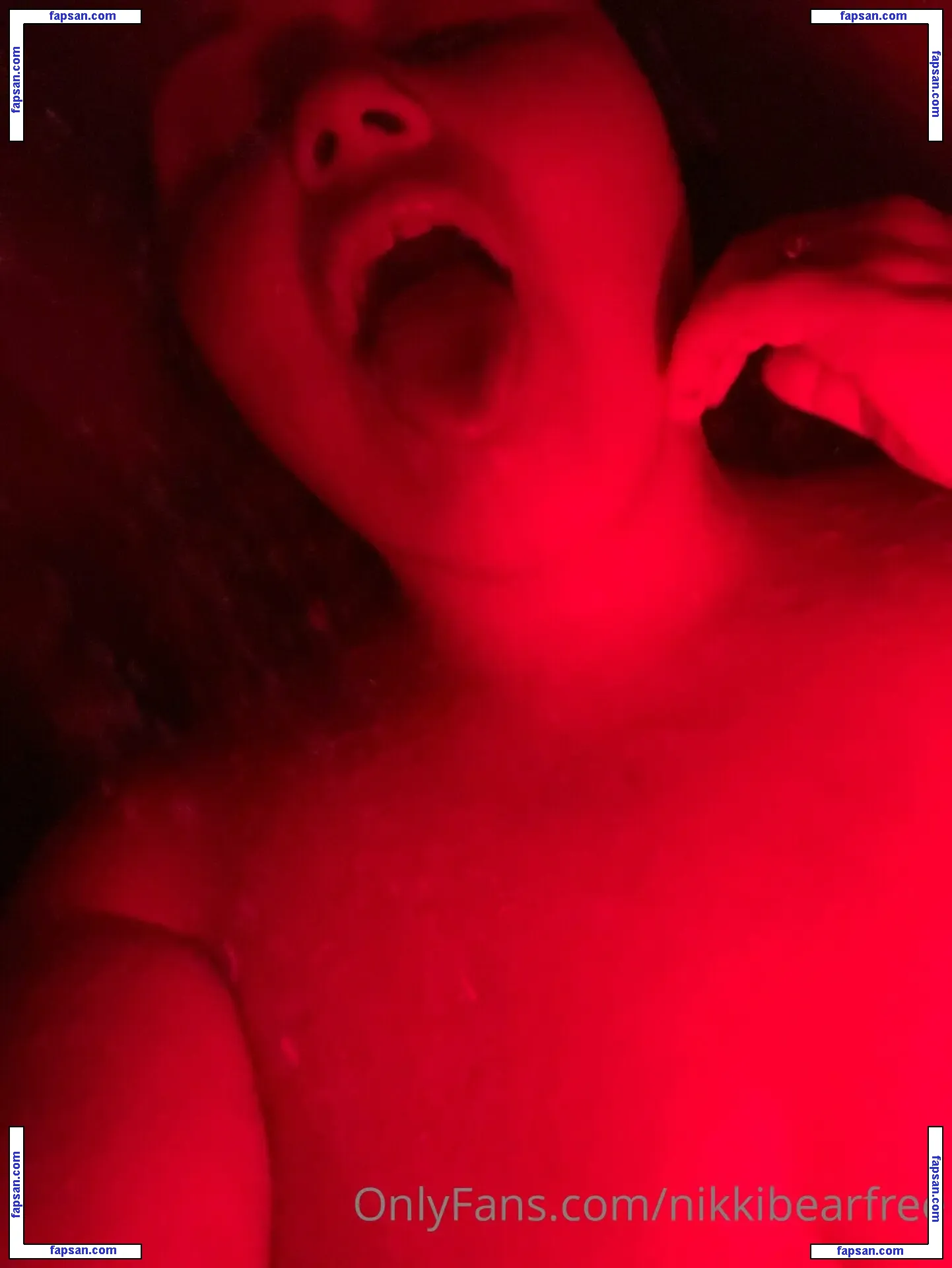 nikkibearfree nude photo #0014 from OnlyFans