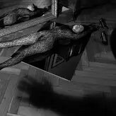 Nikol Beylik голая #0775