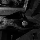 Nikol Beylik голая #0783