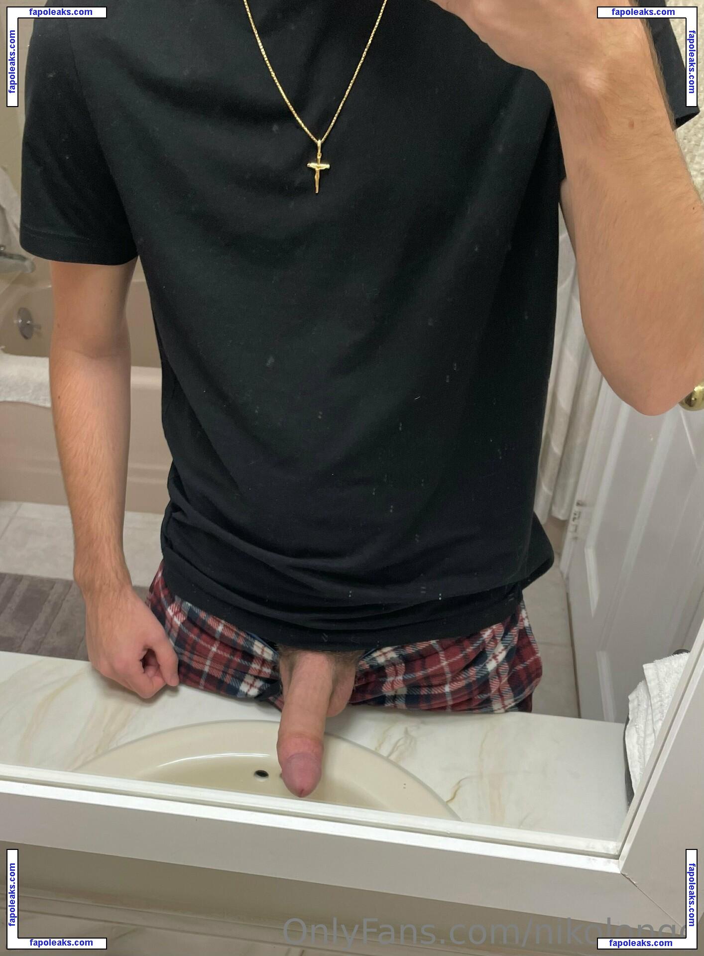 nikolongg / nlong20 nude photo #0001 from OnlyFans