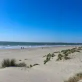 Nilanambiar nude #0006