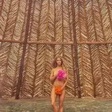 Nina Agdal голая #0528