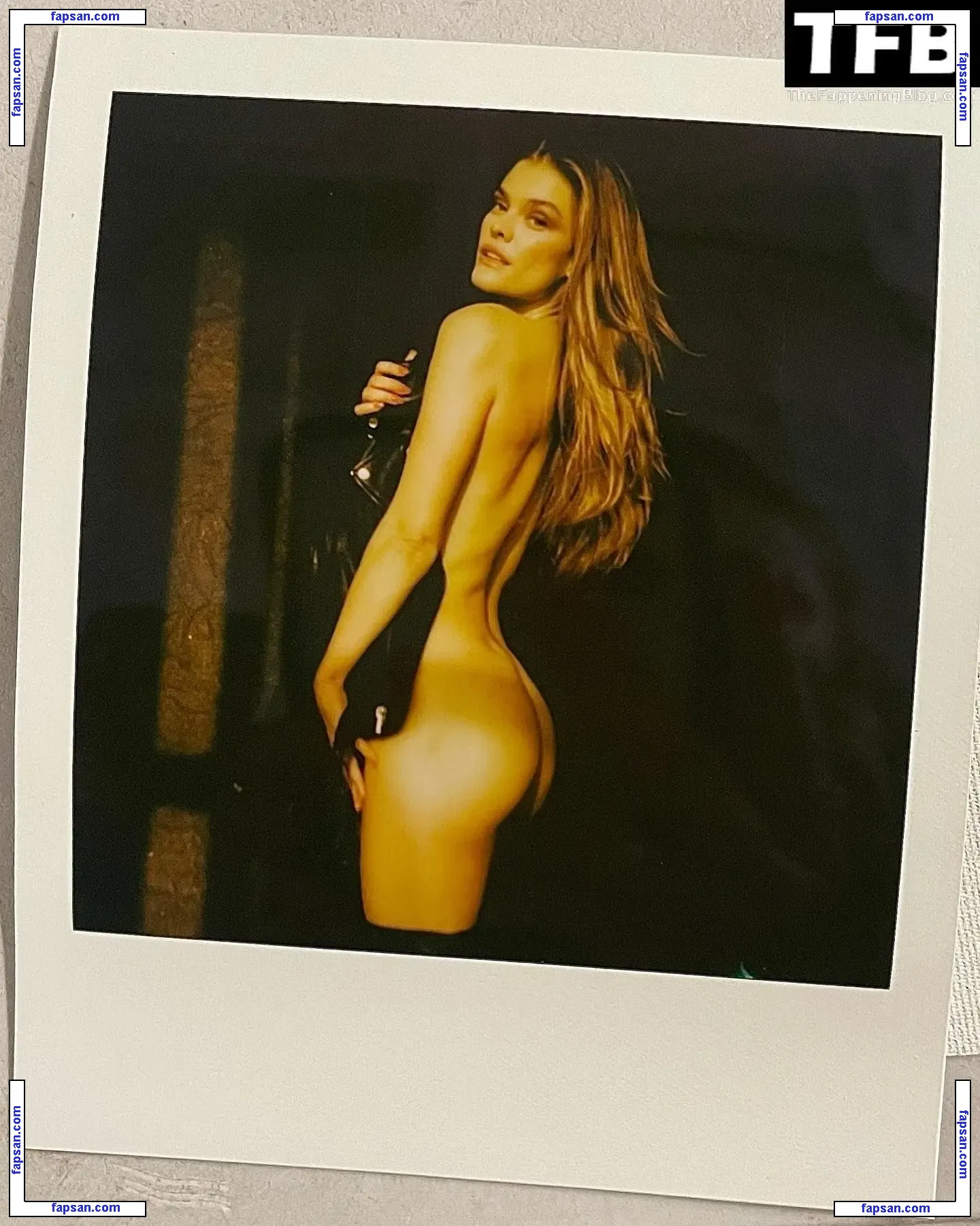 Nina Agdal голая фото #1682 с Онлифанс