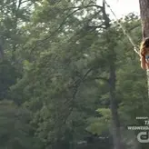 Nina Dobrev nude #0870