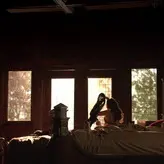 Nina Dobrev nude #0893