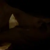 Nina Dobrev nude #0906