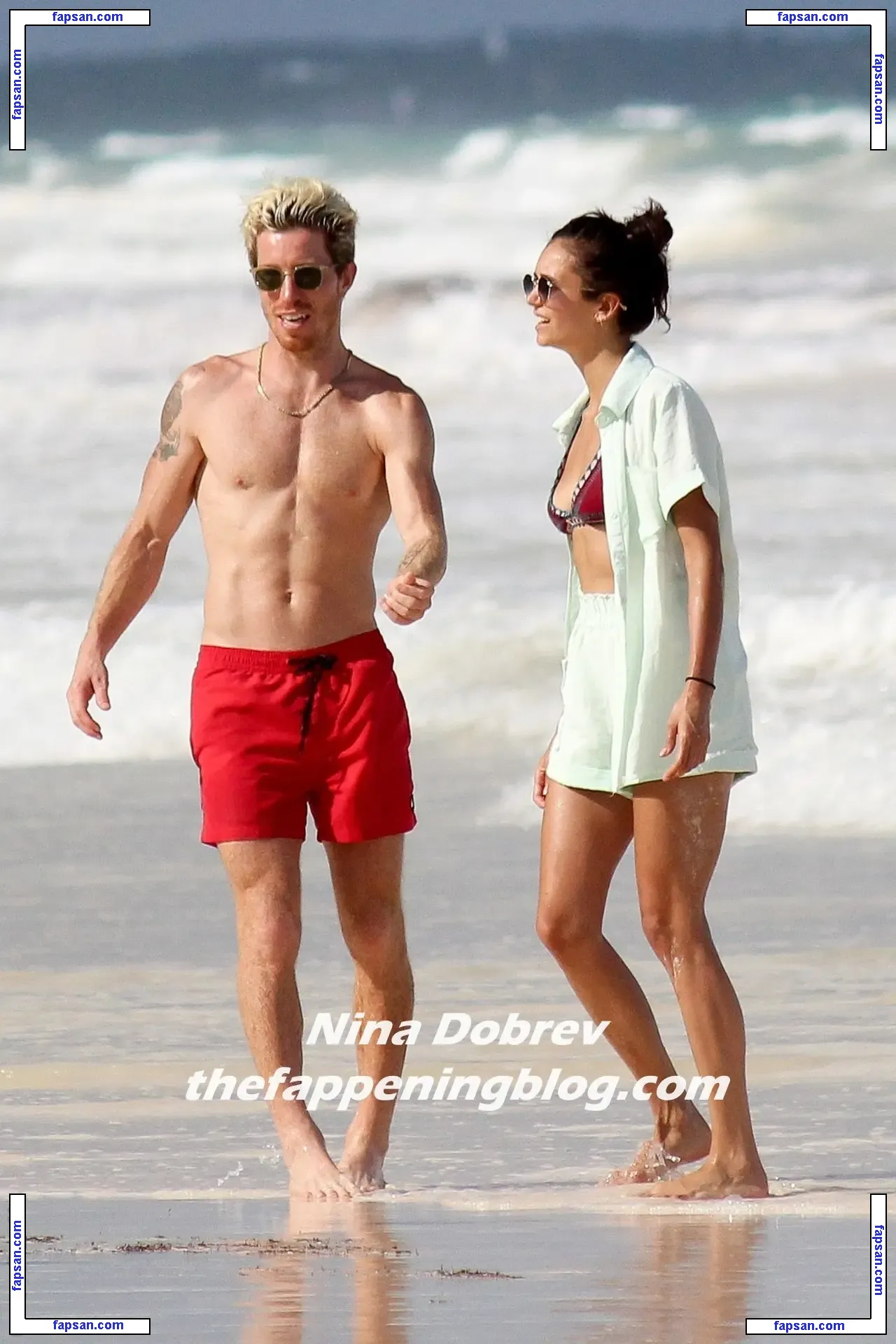 Nina Dobrev nude photo #1185 from OnlyFans