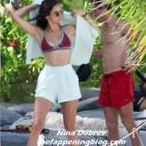 Nina Dobrev nude #1209