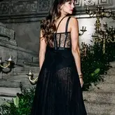 Nina Dobrev голая #2127