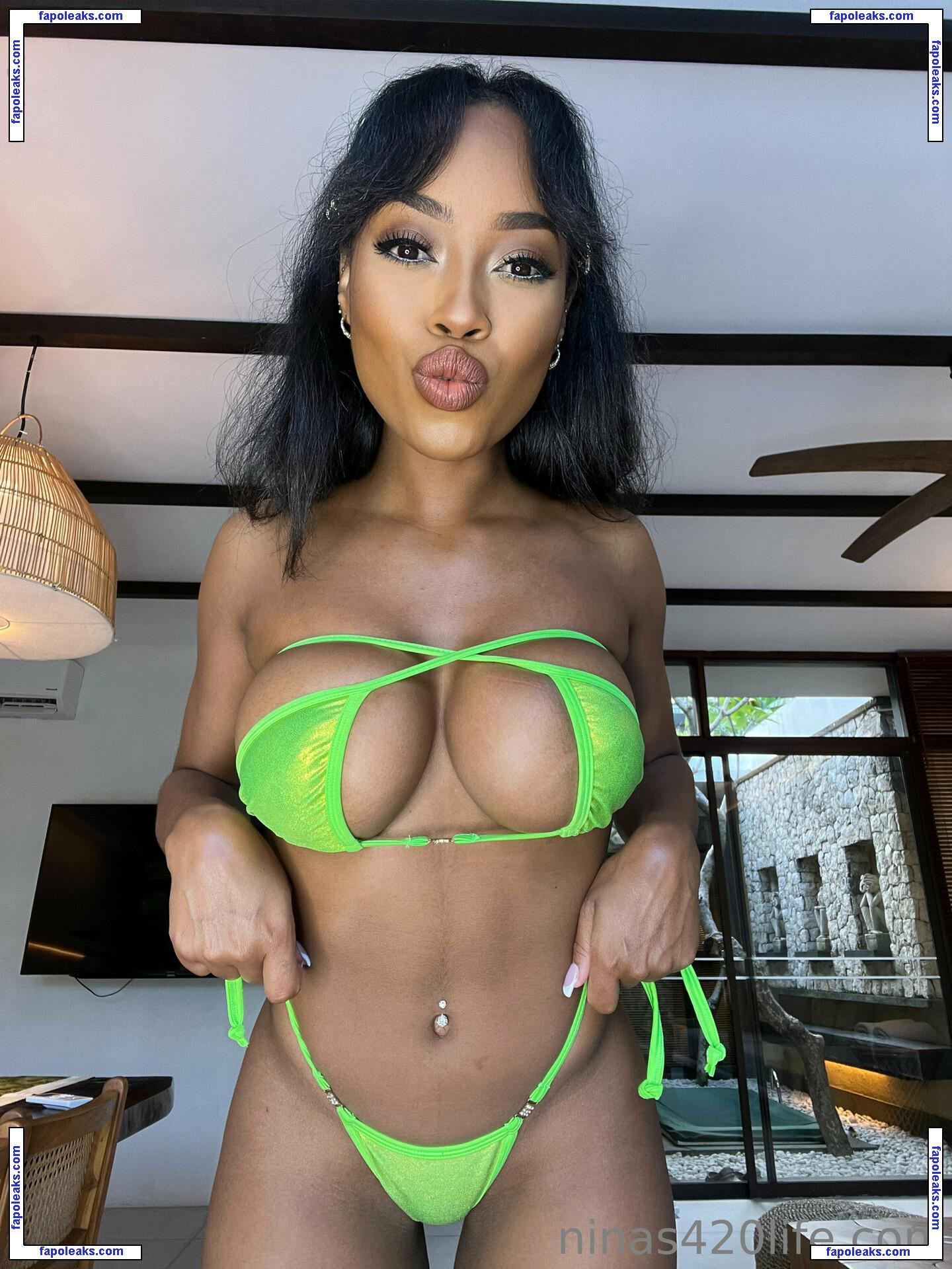 ninas420life / votefornina nude photo #0083 from OnlyFans