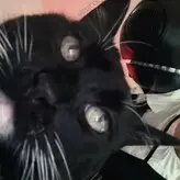 _nineiota nude #0040