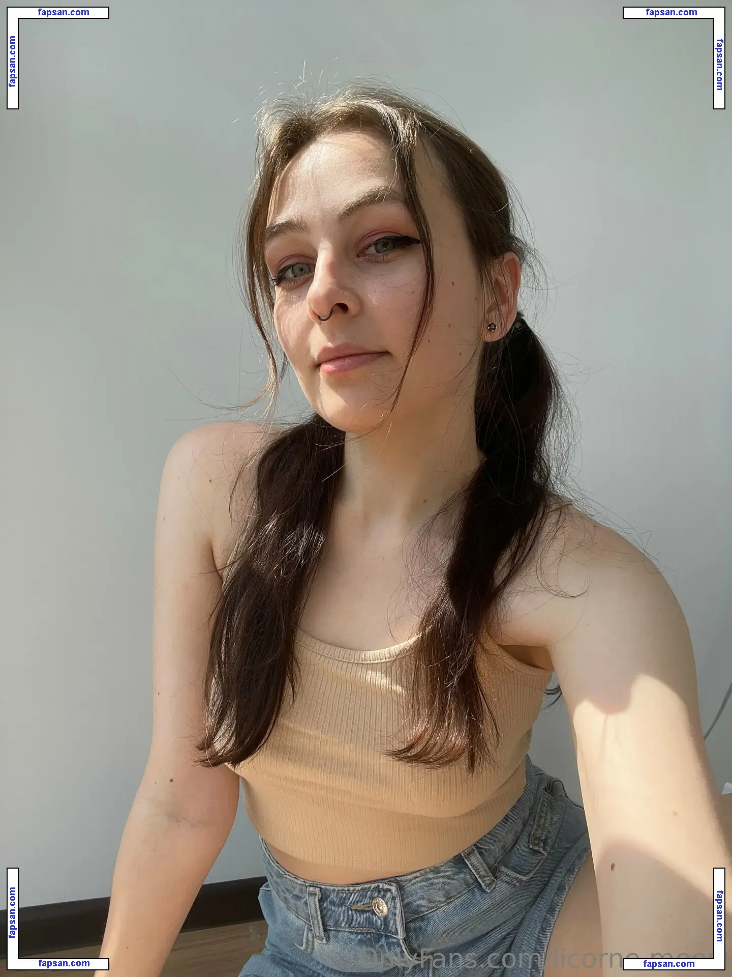nisa.nisa nude photo #0009 from OnlyFans