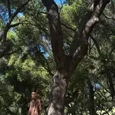 Noah Cyrus nude #0977