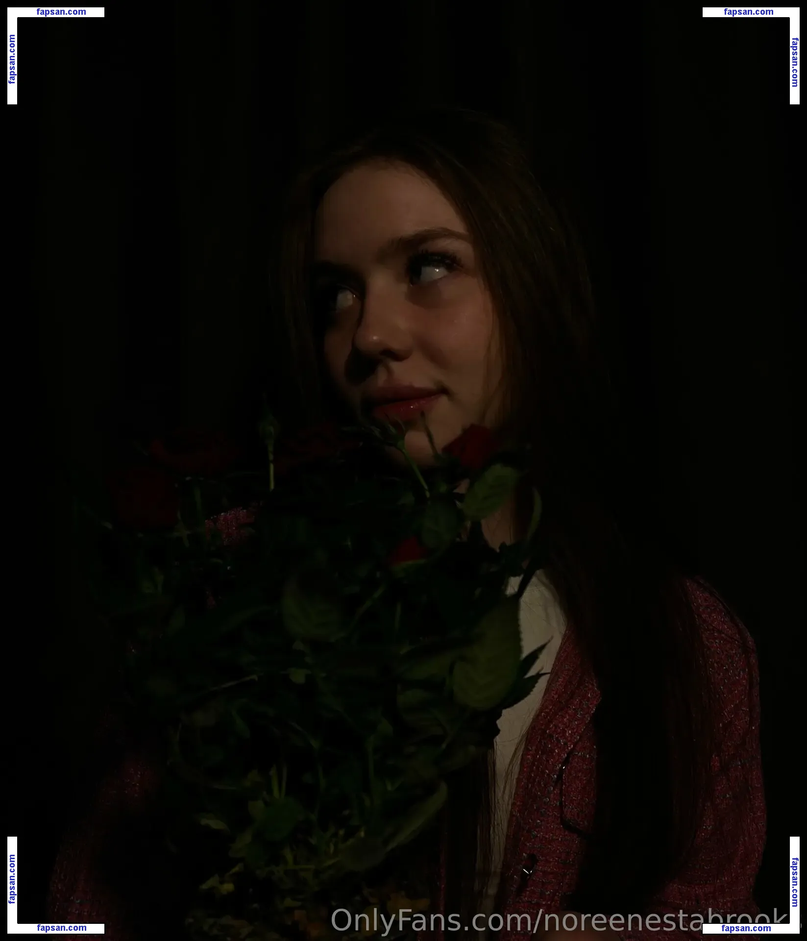 noreenestabrooks голая фото #0007 с Онлифанс