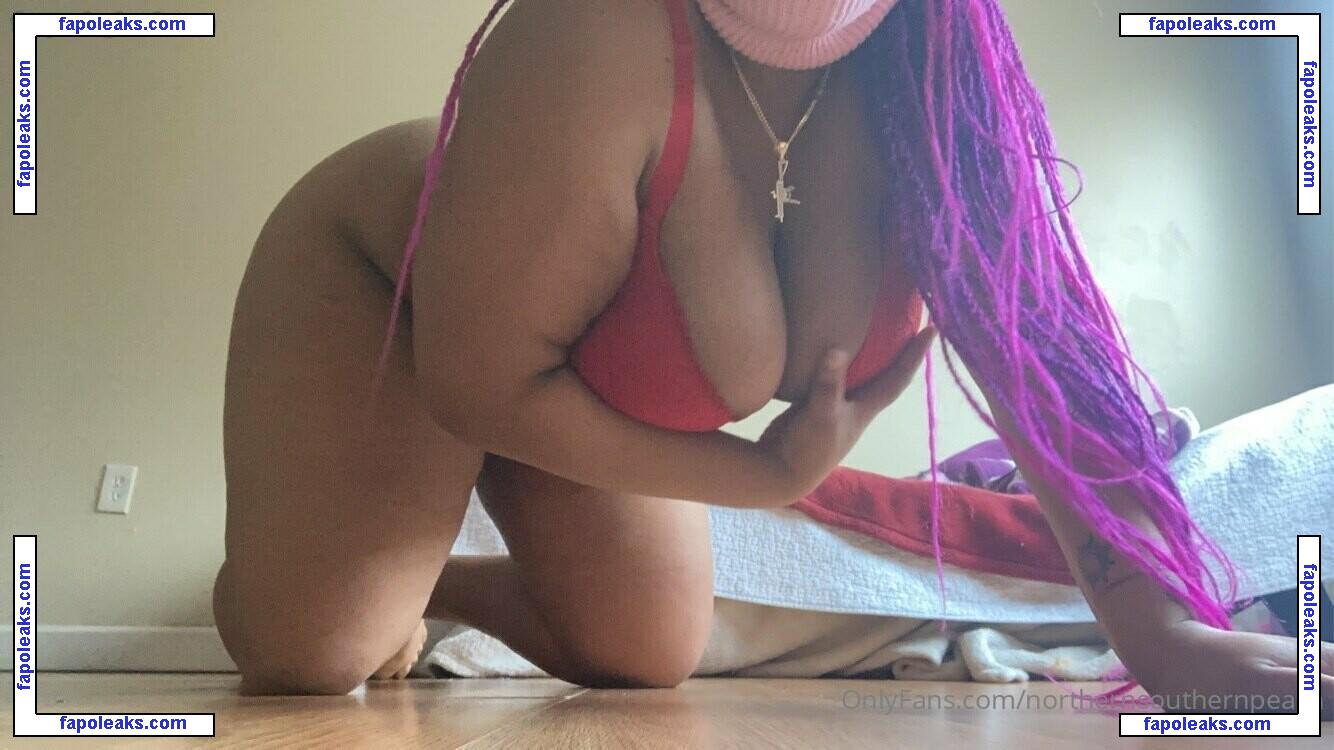 northernsouthernpeach / northernsouthern nude photo #0012 from OnlyFans