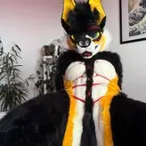 novaxcat nude #0006