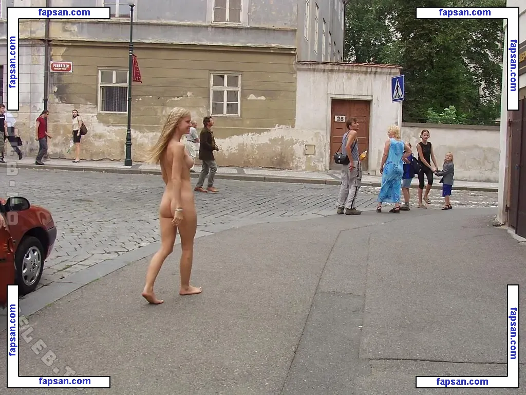 Nude In Public голая фото #0031 с Онлифанс