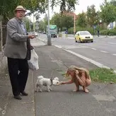 Nude In Public голая #0025