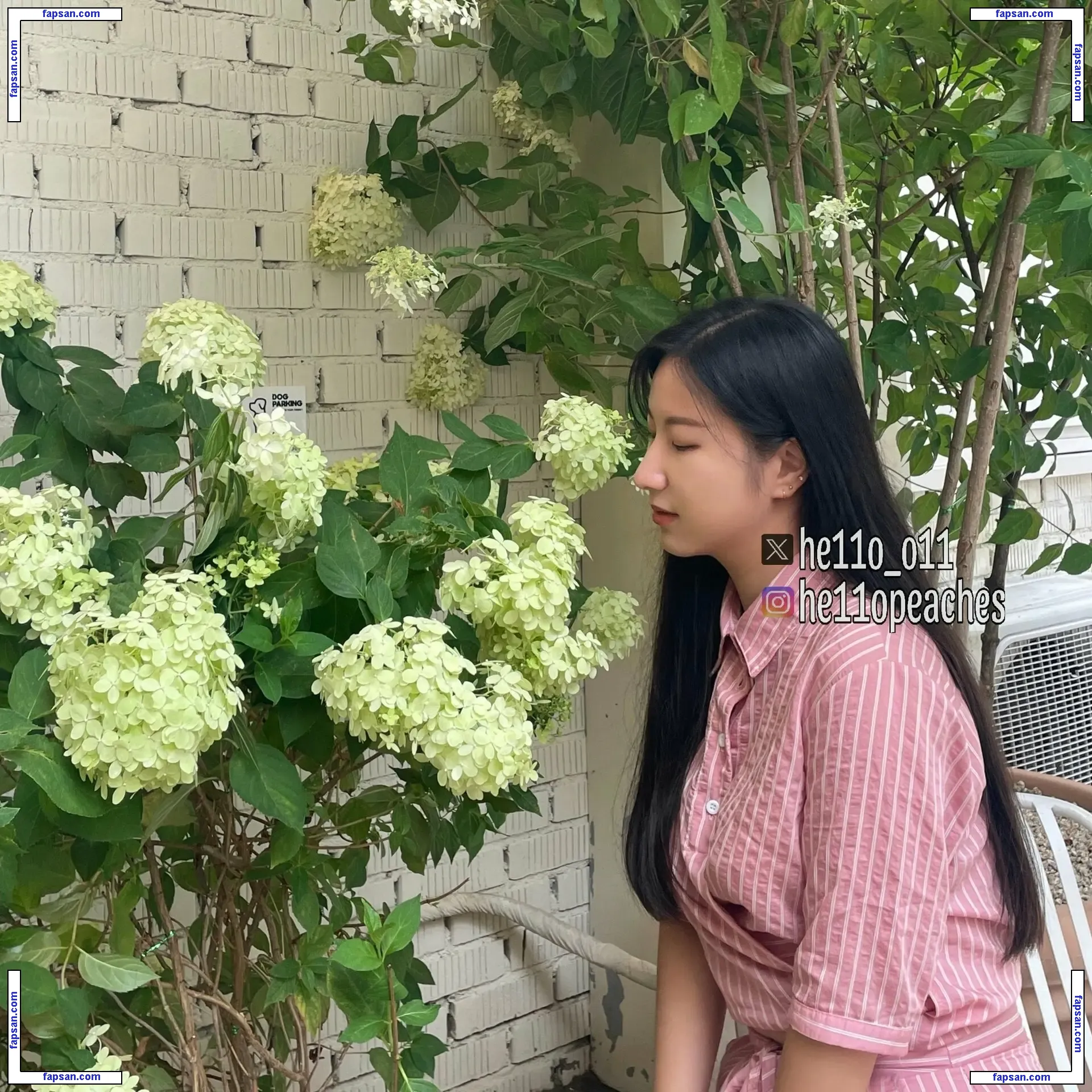 nya_ming nude photo #0032 from OnlyFans