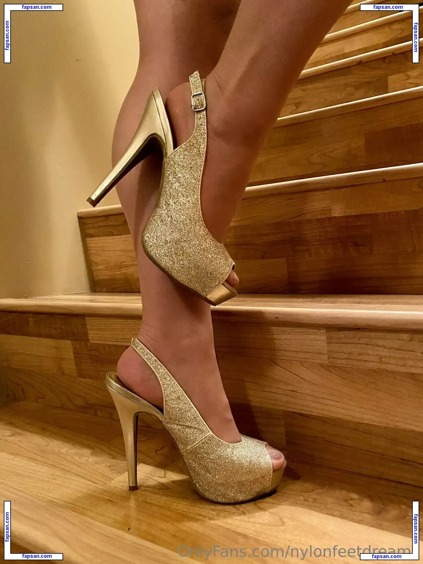 nylonfeetdreams nude photo #0007 from OnlyFans