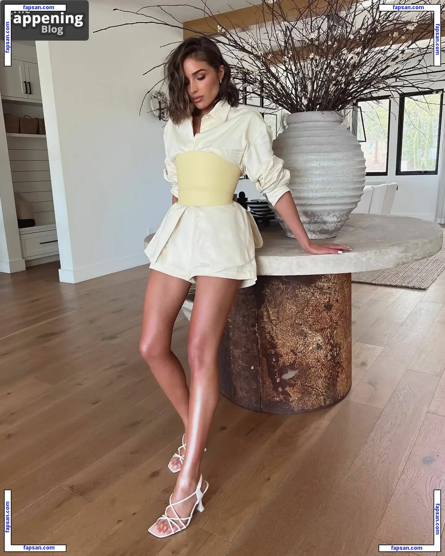 Olivia Culpo nude photo #4336 from OnlyFans
