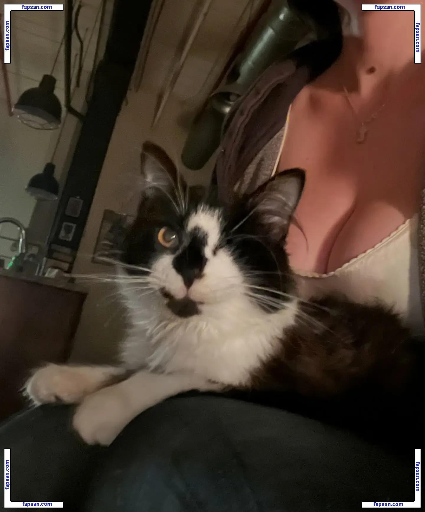 onlyzaboomafoo nude photo #0294 from OnlyFans