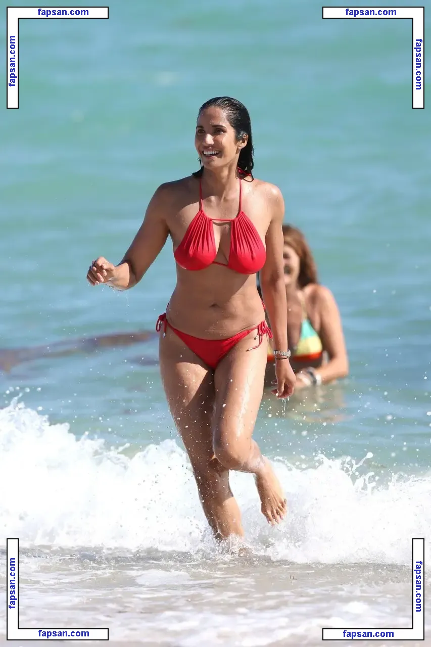 Padma Lakshmi nude photo #0074 from OnlyFans