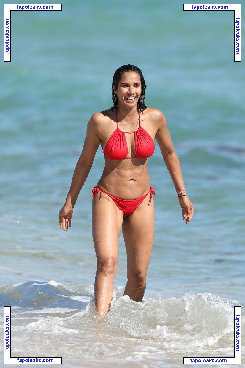 Padma Lakshmi / PadmaLakshmi nude photo #0076 from OnlyFans